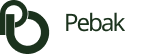 Partner 1